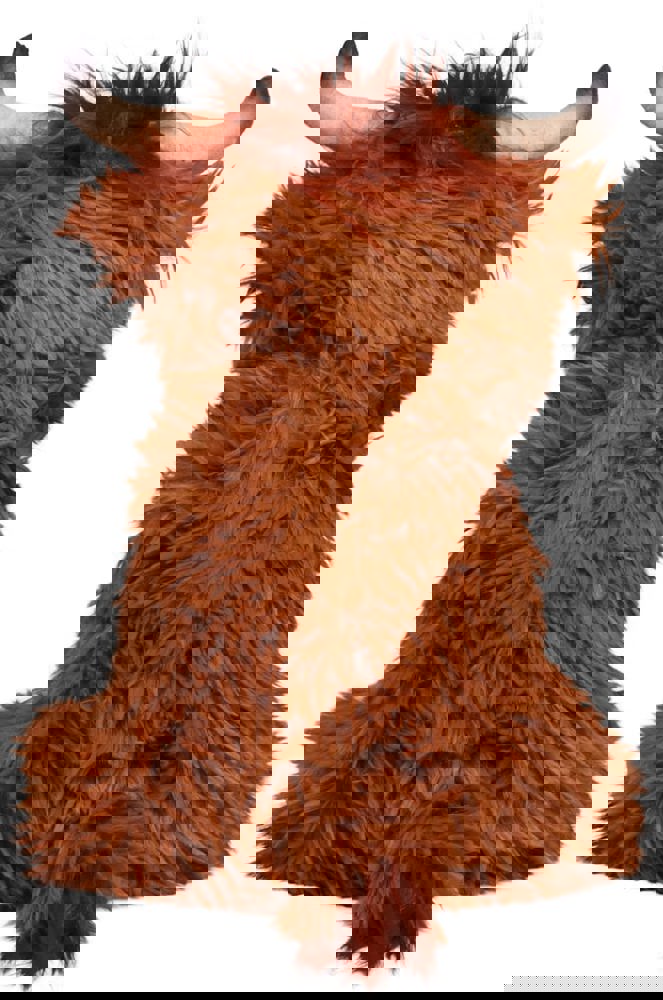 Schottisches Hochlandrind Bobby, braun, L