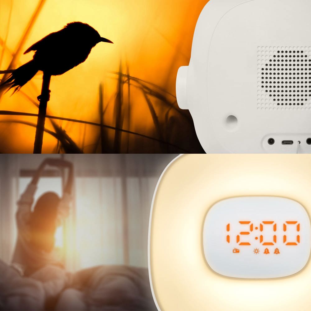 ML-198 | Muse wake up light FM-Radio