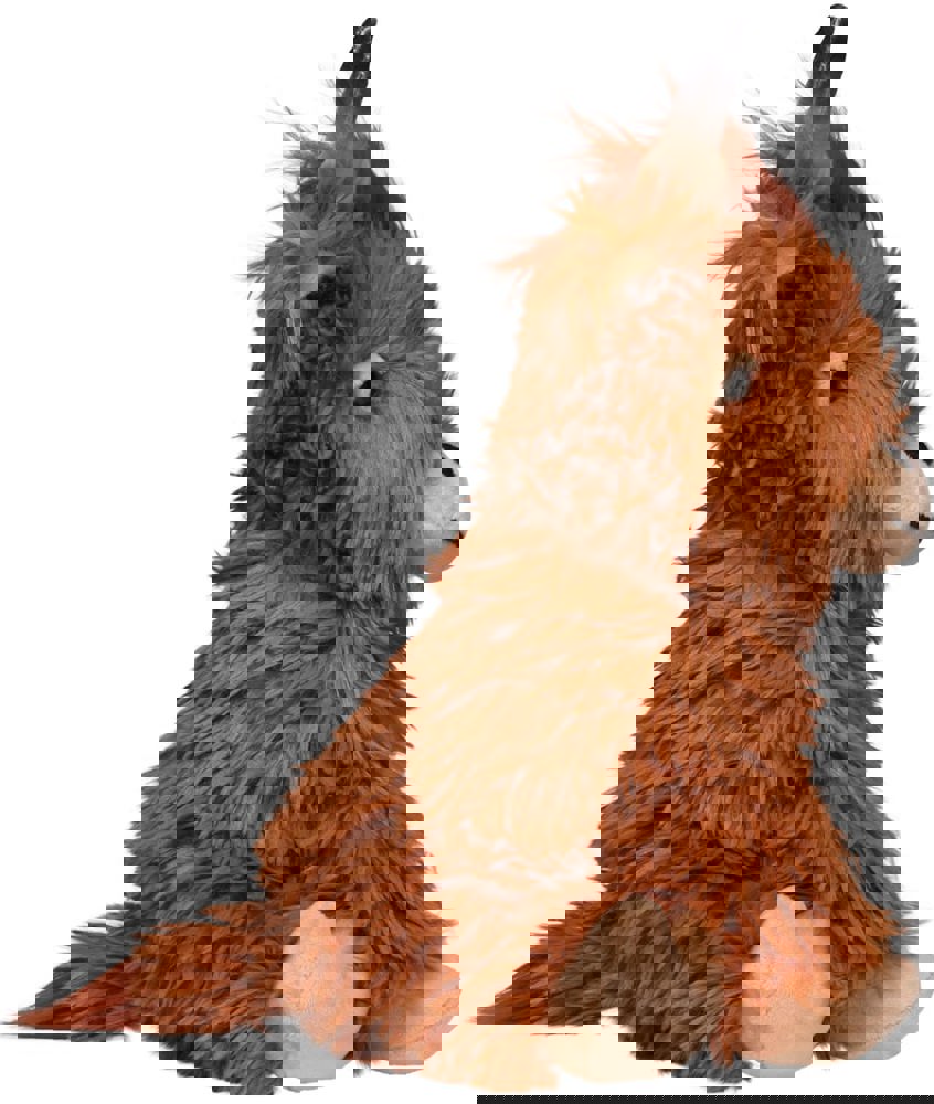 Schottisches Hochlandrind Bobby, braun, L