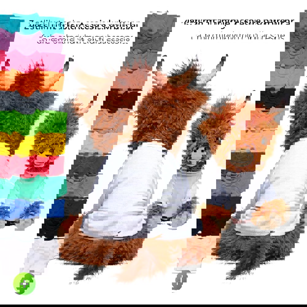 Schottisches Hochlandrind Bobby, braun, L