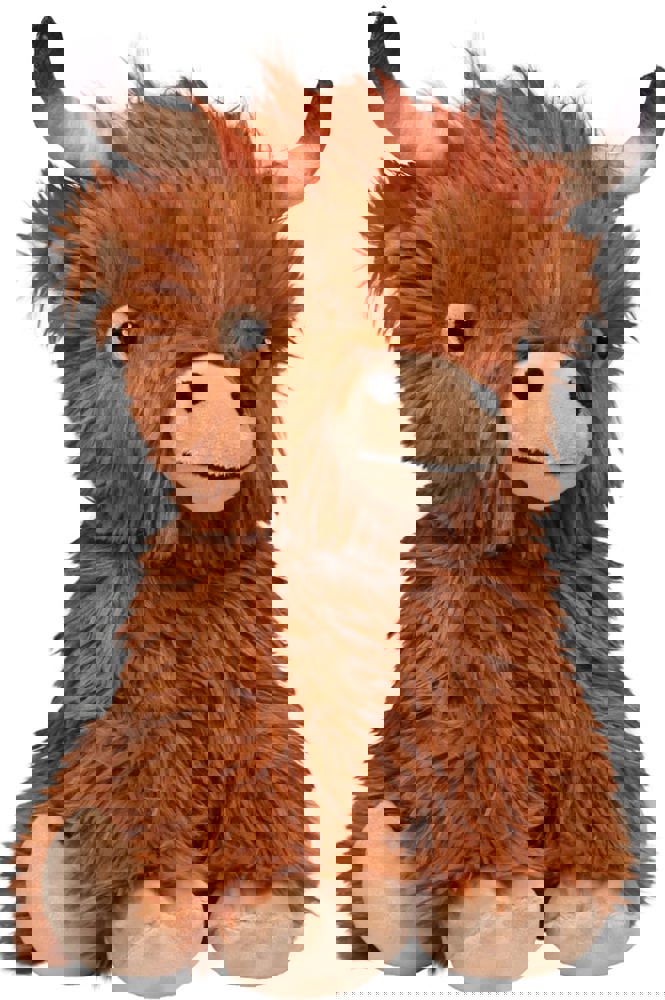 Schottisches Hochlandrind Bobby