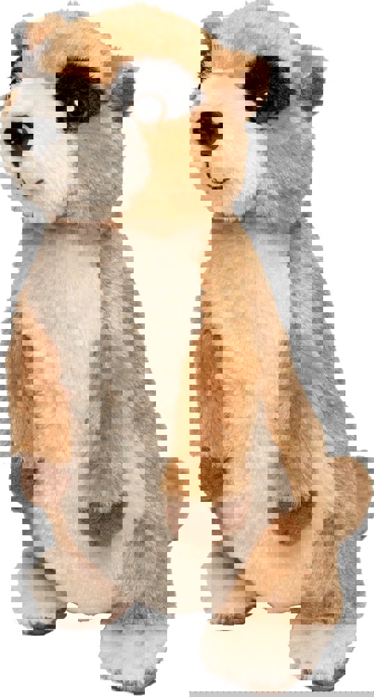 Erdmännchen Jürgen